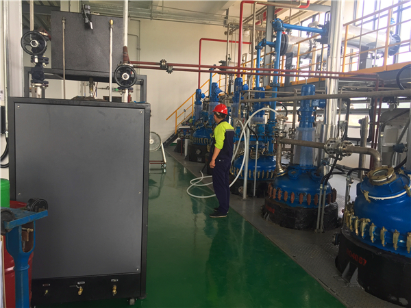 電導(dǎo)熱油加熱系統(tǒng) 電導(dǎo)熱油加熱系統(tǒng)